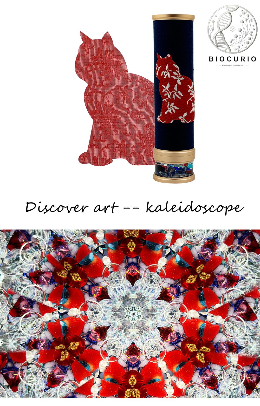 BIOCURIO Customized Kaleidoscope โ Forbidden City Cats 2 Kaleidoscope