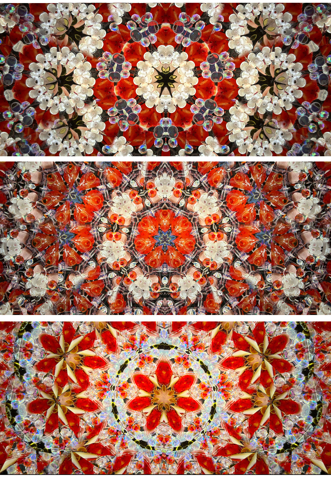 BIOCURIO Customized Kaleidoscope – Cabernet Cherry Blossom Kaleidoscope