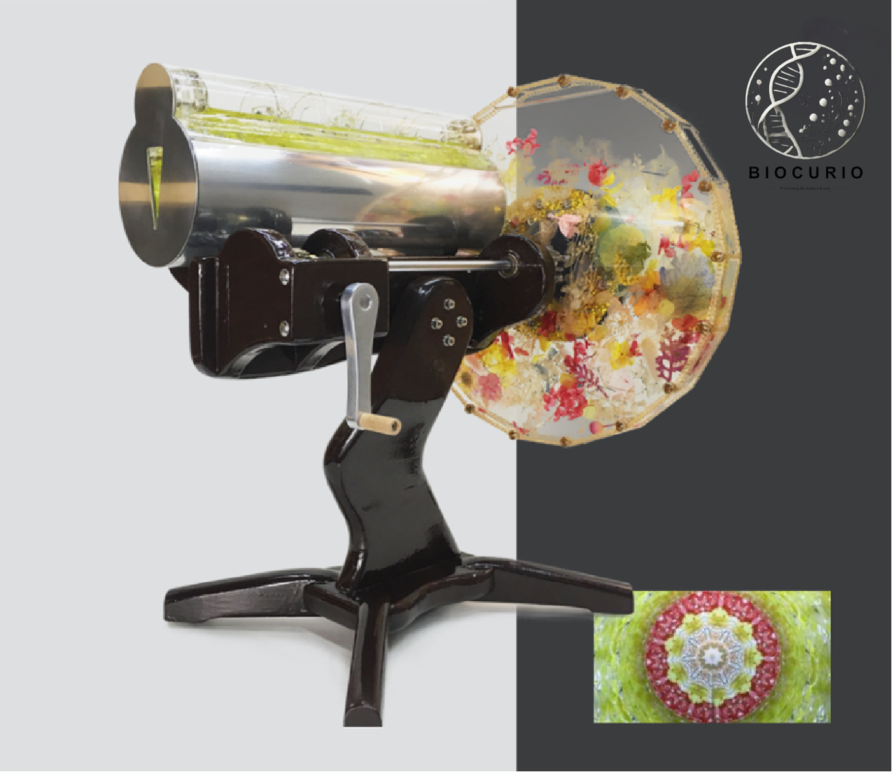 BioCurio Autumn Rhythms Custom Kaleidoscope