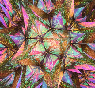 BIOCURIO Sunrise Sails Kaleidoscope