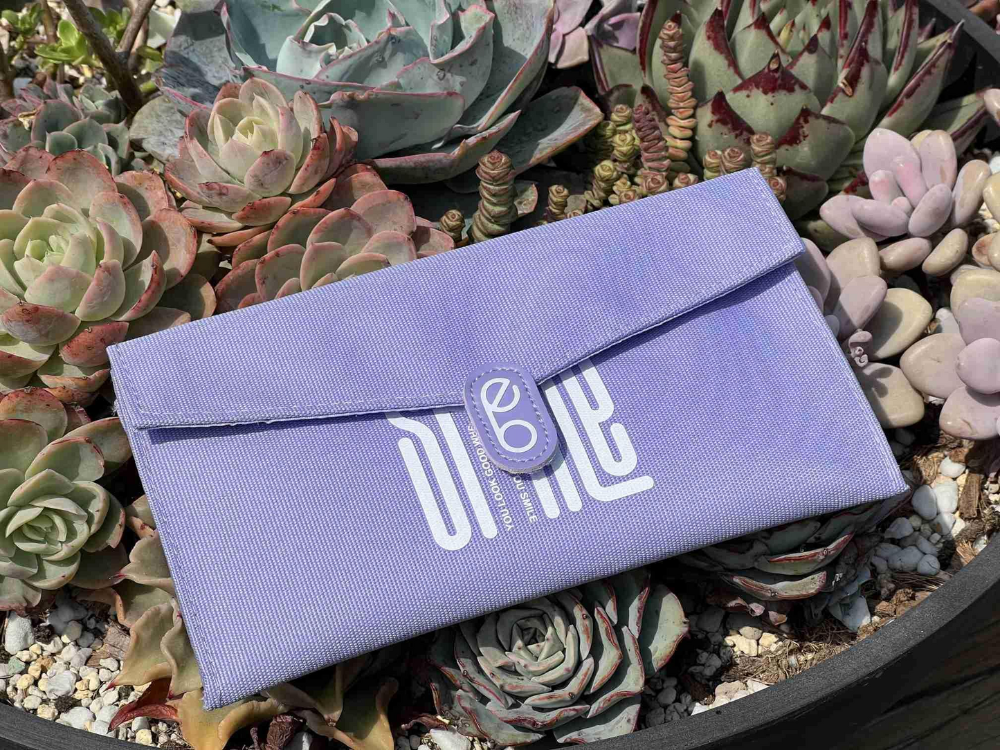 BioCurio Envelope-Style Storage Bag β¨π Holidy Gift
