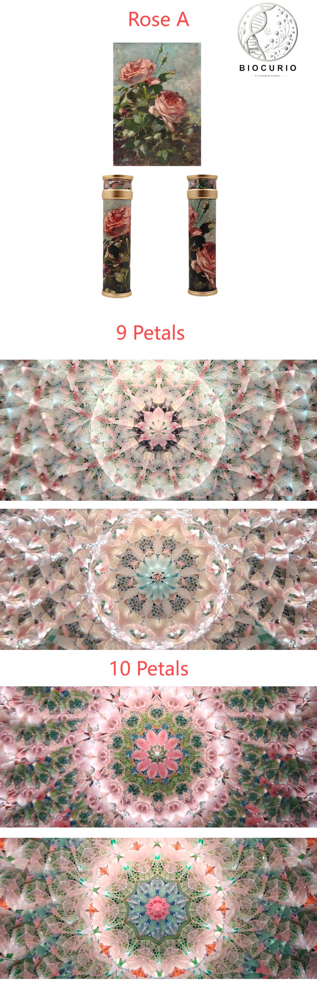 BIOCURIO Customized Kaleidoscope โ Graff Rose Kaleidoscope