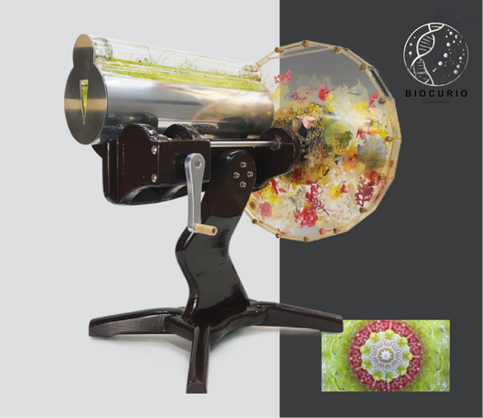 BioCurio Autumn Rhythms Custom Kaleidoscope