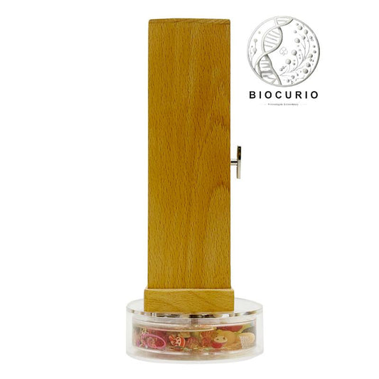 BIOCURIO Teak Slices Kaleidoscope